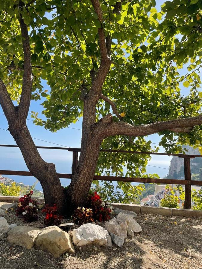 La Villa Di Enzo Casa Vacanze Con Vista Mare Amalfi Bagian luar foto